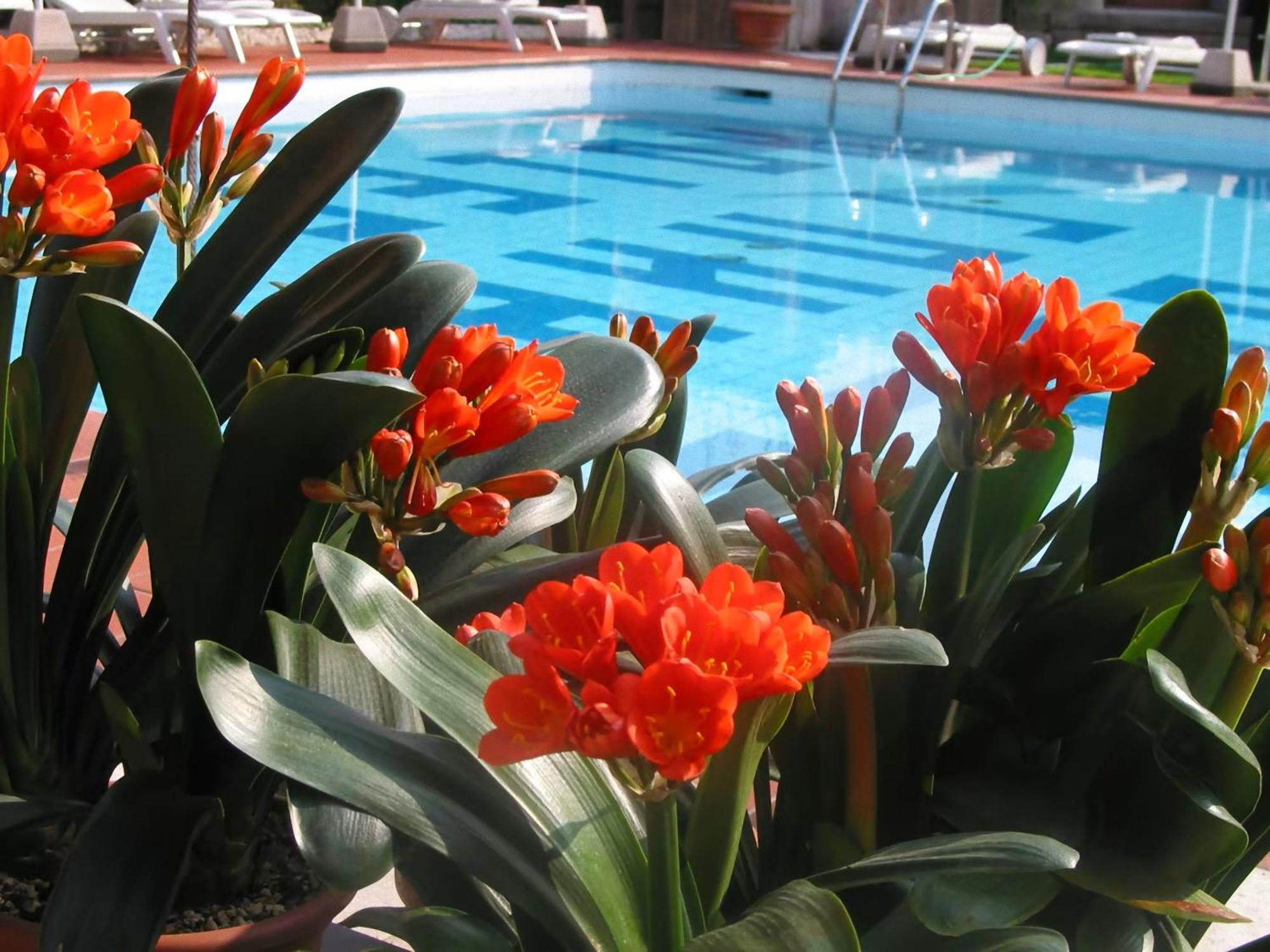 Hotel Luna Rossa (Adults Only) Malcesine Luaran gambar
